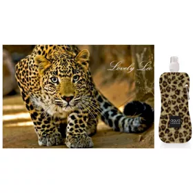 Kulacsok - Lovely Leo