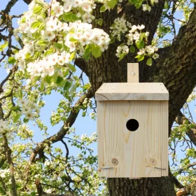 Madárház építő - Fészkelő doboz