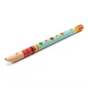 Djeco Játékhangszer - Furulya - Recorder, 3–5 év, Többszínű