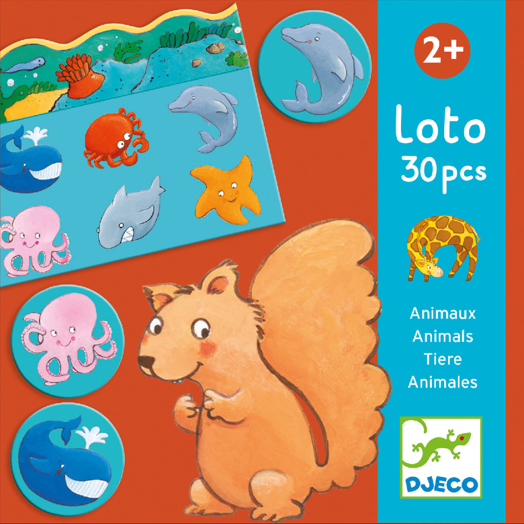 Képes lottó - Állatok élőhelye - Animals – alternatív kép 1