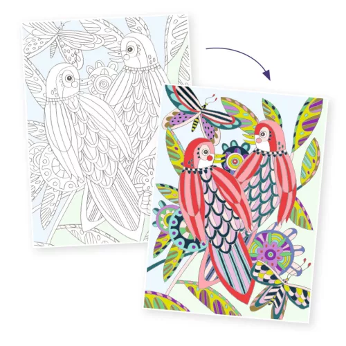 Djeco Művészeti műhely - Madaras színezők mappa - Birds, 3–5 év, Többszínű