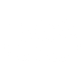   Kreatív készlet - Vadon élő állatok - Jungle Animal Creation Box