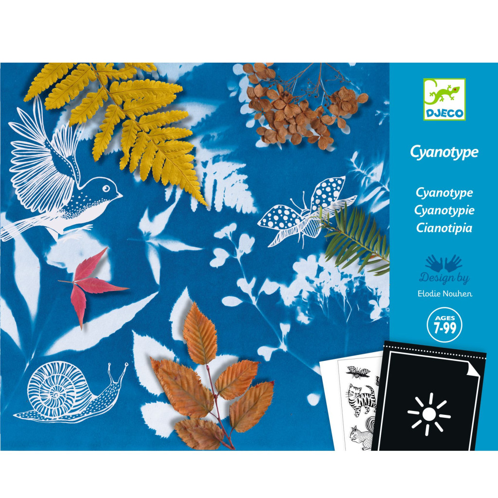 Művészeti műhely - Napnyomat kezdő készlet - Cyanotype Starter Kit – alternatív kép 3