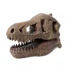 BUKI Tyrannosaurus koponya felfedező készlet BUKI, 6–8 év, Többszínű