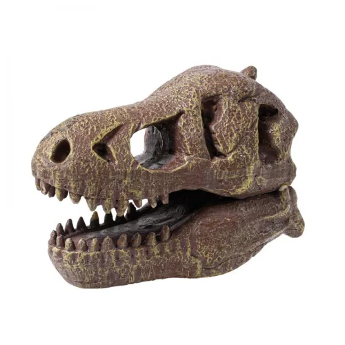BUKI Tyrannosaurus koponya felfedező készlet BUKI, 6–8 év, Többszínű