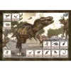 BUKI Mega dino felfedező készlet 12 db meglepetés tojással BUKI, 6–8 év, Többszínű