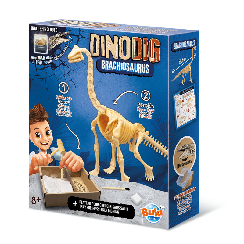 Dínó csontváz felfedező készlet Brachiosaurus BUKI – fő nézet