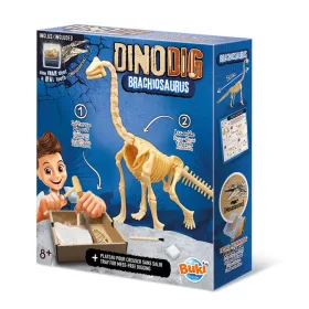 BUKI Dínó csontváz felfedező készlet Brachiosaurus BUKI, 6–8 év, Többszínű