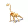 BUKI Dínó csontváz felfedező készlet Brachiosaurus BUKI, 6–8 év, Többszínű