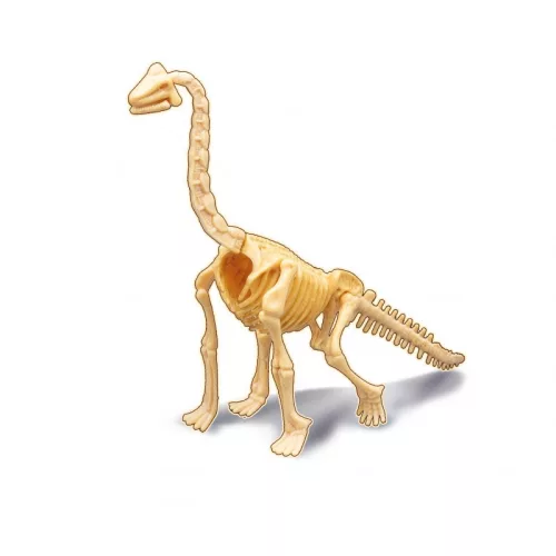 BUKI Dínó csontváz felfedező készlet Brachiosaurus BUKI, 6–8 év, Többszínű