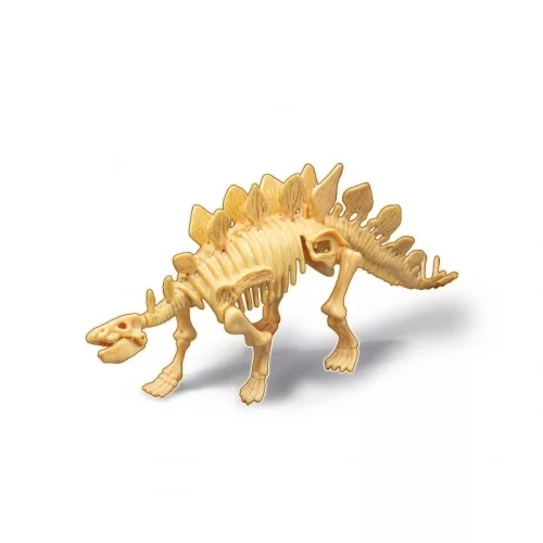 BUKI Dínó csontváz felfedező készlet Stegosaurus BUKI, 6–8 év, Többszínű