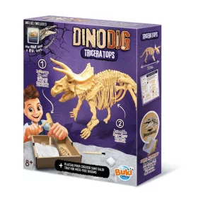 BUKI Dínó csontváz felfedező készlet Triceratops BUKI, 6–8 év, Többszínű