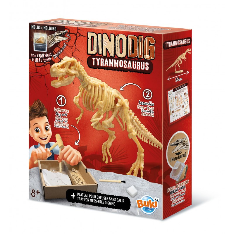 Dínó csontváz felfedező készlet T-Rex BUKI – fő nézet