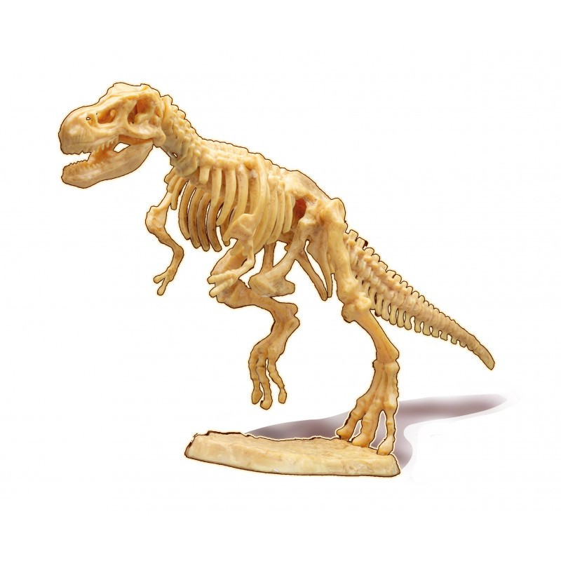 Dínó csontváz felfedező készlet T-Rex BUKI – alternatív kép 2
