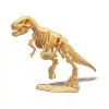 BUKI Dínó csontváz felfedező készlet T-Rex BUKI, 6–8 év, Többszínű