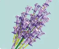 Bouquet virág építőkocka, Levendula Nice Group fő kép