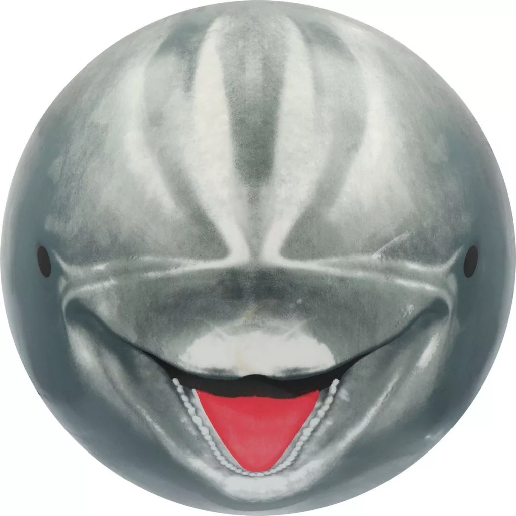 2 az 1-ben strand és merülő labda, delfin Sunflex alternatív kép 1