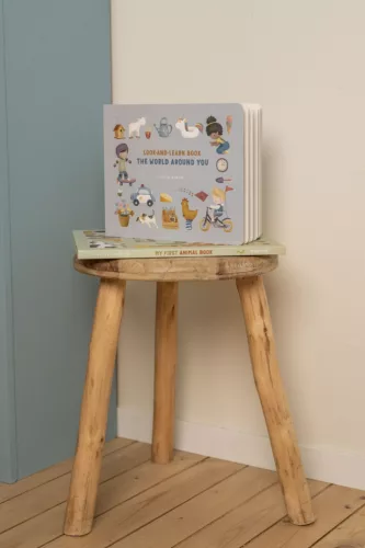 Little Dutch képeskönyv - the world around you