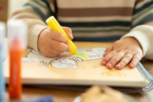 Little Dutch filctoll Jim és barátai