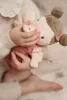 Little Dutch Rosa baba mózeskosárban, 0–2 év, Többszínű