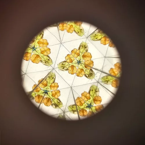 Little Dutch kaleidoszkóp Forest Friends, 6–8 év, Többszínű