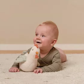 Little Dutch keljfeljancsi tyúk