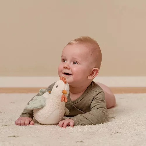 Little Dutch keljfeljancsi tyúk