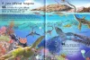 101 dolog, amit jó, ha tudsz a dinoszauruszokról