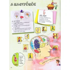 Szórakoztató tudomány - Az emberi test csodája