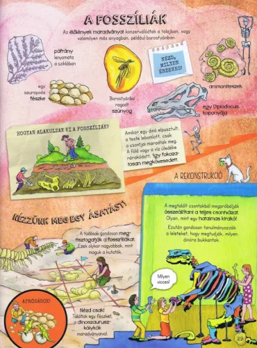 Szórakoztató tudomány - A dinoszauruszok élete