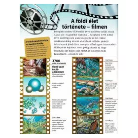 Az emberiség története - A kezdetek