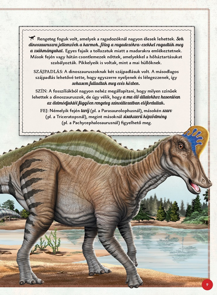Varázslatos útmutató a dinoszauruszokhoz – alternatív kép 4