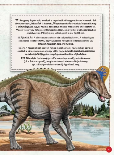 Varázslatos útmutató a dinoszauruszokhoz