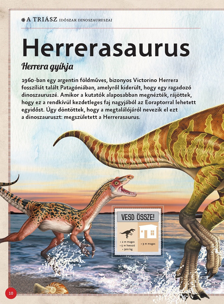 Varázslatos útmutató a dinoszauruszokhoz – alternatív kép 5