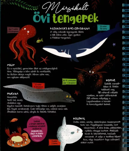 Csodalámpa - Tengeri állatok