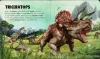 Szuper puzzle - Dinoszauruszok