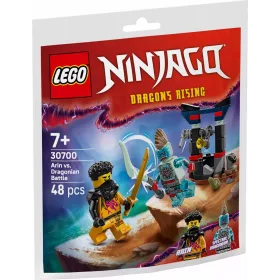 LEGO 30700 Ninjago Arin és egy drakonin csatája