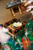 LEGO 10315 Icons Japánkert