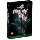 LEGO 10311 Icons Orchidea