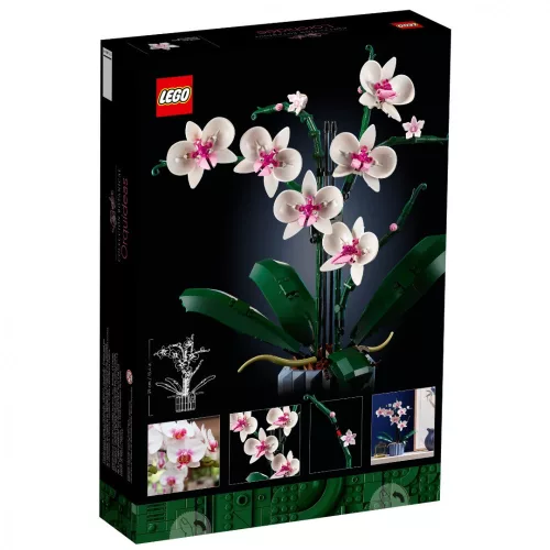 LEGO 10311 Icons Orchidea