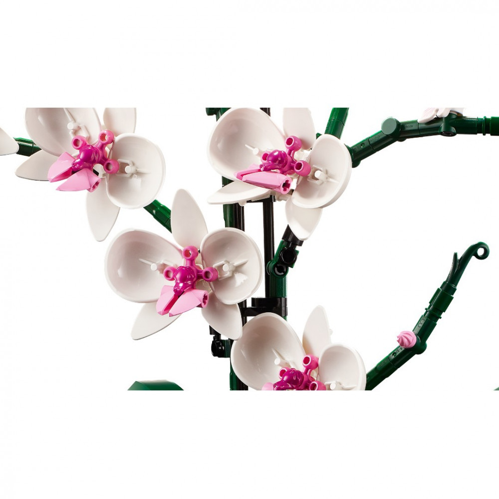 LEGO 10311 Icons Orchidea – alternatív kép 3