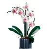 LEGO 10311 Icons Orchidea