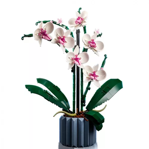 LEGO 10311 Icons Orchidea
