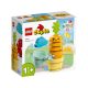 LEGO® - 10981 - DUPLO® My First Sárgarépa ültetés    