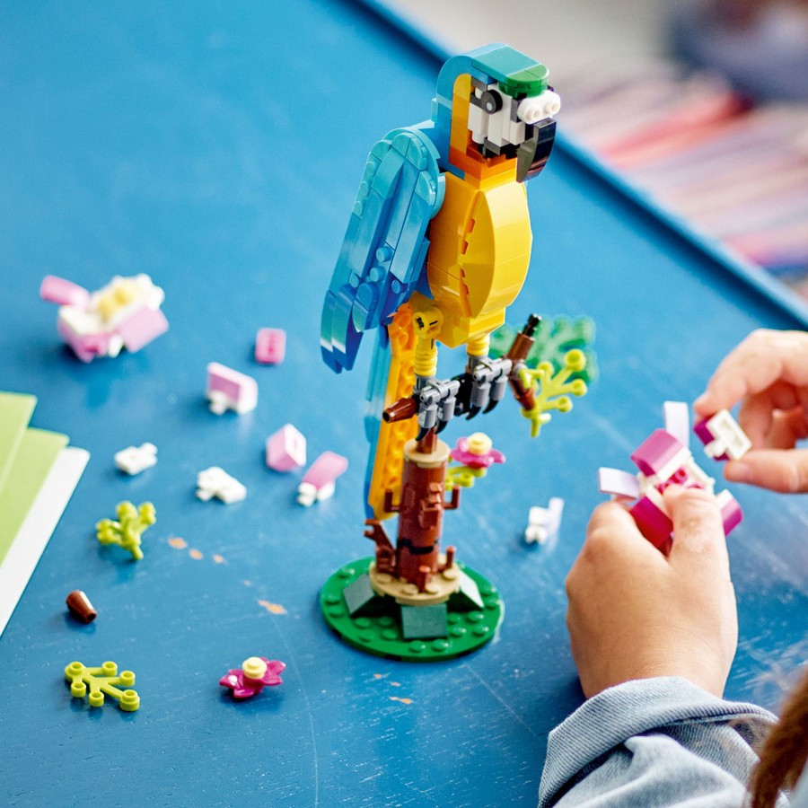 LEGO 31136 Creator Egzotikus papagáj – alternatív kép 3