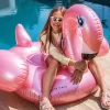 Swim Essentials ride-on matrac - Rose Gold Flamingo