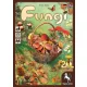 Fungi Fungi