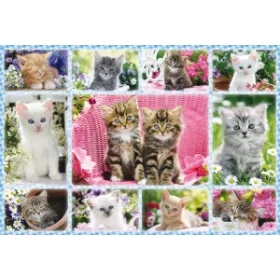 Kittens, 100 db (56135) Katzenbabys, 100 pcs