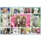 Schmidt Kittens, 100 db (56135) Katzenbabys, 100 pcs, 0–2 év, Többszínű