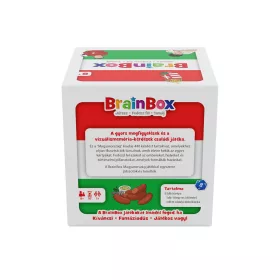 BrainBox - MAGYARORSZÁG 